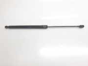 Gasdruckfedern Set Hinten 51242990136 BMW X1 (E84) SUV xDrive 18d 2.0 16V (N47-D20C)