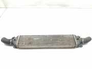 Ladeluftkühler 51783791 Fiat Bravo (198A) Schrägheck 1.9 JTD 16V Multijet 150 (937.A.5000(Euro 5)) 2008