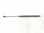 Gasdruckfeder Set Vorne A2139800264 Mercedes-Benz C (W205) Limousine C-220 2.2 CDI BlueTEC, C-220 d 16V (OM651.921) 2016