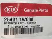 Ausgleichbehälter 254311W000 Kia Ceed (CDB5/CDBB) Schrägheck 5-drs 1.4 T-GDI 16V (G4LD) 2011