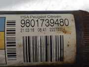 Stoßdämpfer Links Hinten 9801739480 Citroën C3 (SC) Schrägheck 5-drs 1.6 BlueHDI 75 (DV6FE(BHW))