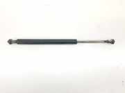 Gasdruckfeder Hinten 51248254281 BMW 3 serie (E46/4) Limousine 320d 16_V (M47N(204D4)) 2002