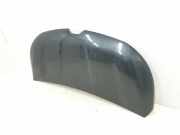 Motorhaube 651224338R Renault L1H1 29t Komfort