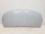 Motorhaube 651224338R Renault L1H1 29t Komfort