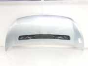 Motorhaube 7901N1 Peugeot Expert Tepee (G9) Großraumlimousine 2.0 HDi 140 16V (DW10BTED4(RHR)) 2008