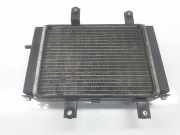Radiator 19010L3A000 Volkswagen SYM JOYMAX 300I