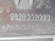 Luftfiltergehäuse 9828002080 Citroën Berlingo Van 1.5 BlueHDi 100 (DV5RCF(YHT))