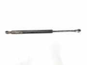 Gasdruckfedern Set Hinten 51248254281 BMW 3 serie (E46/4) Limousine 330d 24V (M57-D30(306D1)) 2000