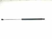 Gasdruckfeder Set Vorne 8731S0 Peugeot Partner Tepee (7A/B/C/D/E/F/G/J/P/S) Großraumlimousine 1.6 HDI 92 (DV6DTED(9HP)) 2011