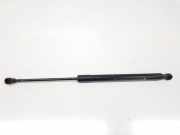 Gasdruckfedern Set Hinten 844308661R Renault Clio IV (5R) Schrägheck 5-drs 1.5 dCi 75 FAP (K9K-612) 2015