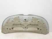 Motorhaube 651224338R Renault L1H1 29t Komfort