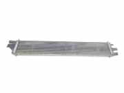 Radiator 214C10001R Renault Master III (MA/MB/MC/MD/MH/MF/MG/MH) Van 2.3 dCi 16V (M9T-B8) 2012