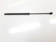 Gasdruckfedern Set Hinten 52017651 Jeep Renegade (BU) SUV 2.0 Mutlijet 140 16V 4x4 (55263087) 2015