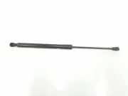 Gasdruckfeder Vorne 654704175R Dacia Lodgy (JS/SD0J) Großraumlimousine 1.2 TCE 16V (H5F-402(H5F-C4)) 2013