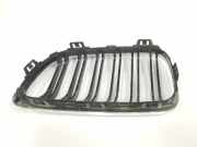 Grill Gitter Rechts 7295526 BMW M2 (F87) Coupé 3.0 24V (N55-B30A) 2018