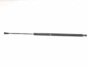 Gasdruckfeder Hinten 51243400379 BMW X3 (E83) SUV 2.0d 16V (N47-D20A) 2008