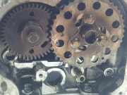 Zylinderkopf 1109100QAA Infiniti FX (S51) SUV 30D 3.0 V6 24V AWD (V9X)