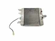 Radiator 1771049F00 SUZUKI BURGMAN 125