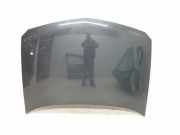 Motorhaube 7751471641 Renault Laguna II (BG) Schrägheck 5-drs 1.9 dCi 130 (F9Q-758)