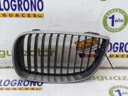 Grill Gitter Links 51137077129 BMW 1 serie (E81) Schrägheck 3-drs 120i 16V (N43-B20A) 2007