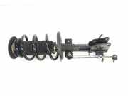 Stoßdämpfer Links Vorne 543029774R Nissan NV 400 Ch.Cab/Pick-up 2.3 dCi 125 16V (M9T-870(Euro 5)) 2015