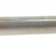 Gasdruckfeder Vorne LR114627 Land + Range Rover Range Rover Evoque (LVJ/LVS) SUV 2.0 D 150 16V (204DTD) 2019