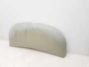 Motorhaube 651224338R Renault L1H1 29t Komfort