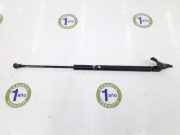 Gasdruckfeder Hinten 6896002031 Toyota Corolla (E12) Schrägheck 2.0 D-4D 16V 116 (1CD-FTV) 2006