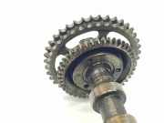 Nockenwelle A6280500801 Mercedes-Benz ML I (163) SUV 400 4.0 CDI V8 32V (OM628.963) 2002