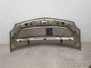 Motorhaube 7751478148 Renault II FKW0 Dynamique