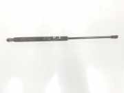 Gasdruckfeder Set Vorne 60658924 Alfa Romeo 166 Limousine 2.4 JTD (AR34.202) 1999