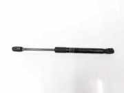 Gasdruckfeder Hinten 51237309117 BMW 5 serie (F10) Limousine 520d 16V (B47-D20A) 2016