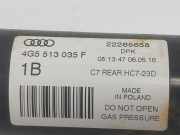 Stoßdämpfer Rechts Hinten 4G5513035F Audi S5 Cabriolet (F57/F5E) Cabrio 3.0 TFSI V6 24V (CWGD)