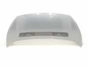 Motorhaube 7901N1 Peugeot Expert Tepee (G9) Großraumlimousine 1.6 HDi 16V 90 (DV6UTED4(9HU)) 2014