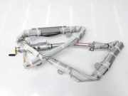 Vorhang Airbag Links VOOR 985P1JY00A Renault Koleos SUV 2.0 dCi 16V (M9R-832) 2014