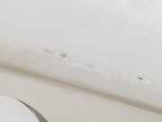 Tür Rechts Vorne 801005445R Renault Trafic Passenger (1JL/2JL/3JL/4JL) Bus 1.6 dCi 145 Twin Turbo (R9M-452) 2016