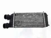 Ladeluftkühler 1498997080 Fiat Scudo (270) Van 1.6 D Multijet (DV6UTED4(9HU)) 2011