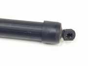 Gasdruckfedern Set Hinten J8A270354AC Land + Range Rover LAND ROVER RANGE ROVER R-Dynamic S