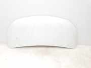 Motorhaube 651224338R Renault L1H1 29t Komfort
