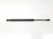Gasdruckfedern Set Hinten 51248254281 BMW 3 serie (E46/2) Coupé 328 Ci 24V (M52-B28TU(286S2)) 1999