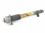 Stoßdämpfer Links Hinten 6783017 BMW X6 (E71/E72) SUV xDrive40d 3.0 24V (N57-D30B)