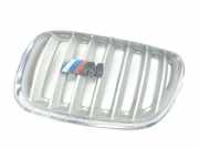 Grill Gitter Links 7113733 BMW X5 (E53) SUV 3.0d 24V (M57N-D30(306D2)) 2005