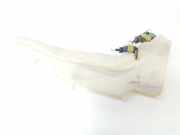 Scheibenwaschbeh?lter Vorne 28910EB320 Nissan Pathfinder (R51) SUV 2.5 dCi 16V 4x4 (YD25DDTi) 2006