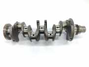 Kurbelwelle 504041684 Iveco New Daily VI Chassis-Cabine 35C21, 35S21, 40C21, 50C21, 65C21, 70C21 (F1CE3481D) 2012