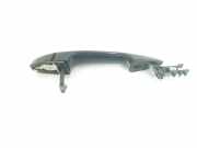 Türgriff Außen Links Hinten 51217396307 BMW X1 (F48) SUV sDrive 18d 2.0 16V (B47-C20B) 2021