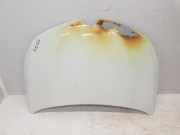 Motorhaube 651003246R Renault Clio V (RJAB) Schrägheck 5-drs 1.6 E-Tech 145 16V (H4M-632(H4M-C6))