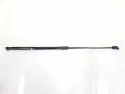 Gasdruckfeder Hinten 51242990136 BMW X1 (E84) SUV sDrive 18d 2.0 16V (N47-D20C) 2011
