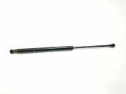 Gasdruckfedern Set Hinten 517854120 Fiat 500 (312) Schrägheck 1.0 Hybrid (46341162) 2021