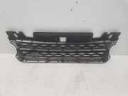 Grill DK628200XX Land + Range Rover LAND ROVER SPORT HSE