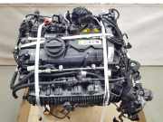 Motor COMPLEET B48A20E BMW M135 (F40) Schrägheck M135i xDrive 2.0 TwinPower 16V (B48-A20E)